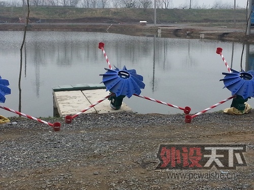 20130322_121955.jpg