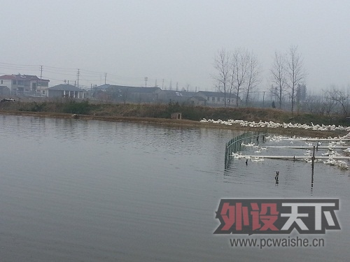20130322_122320.jpg