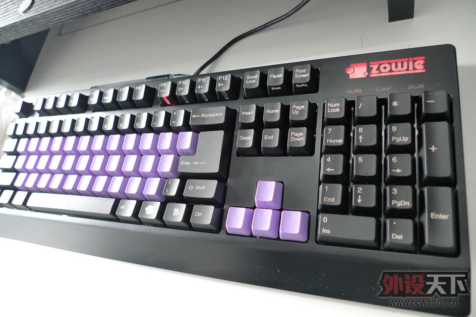[����]zowie CELERITAS �����е���� 85�¡��ѳ���