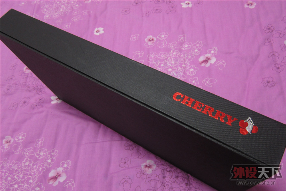�����Ŀ����� CHERRY G80-3000 �ײ迪���� ��ͼ ɱè ����Ҫ��