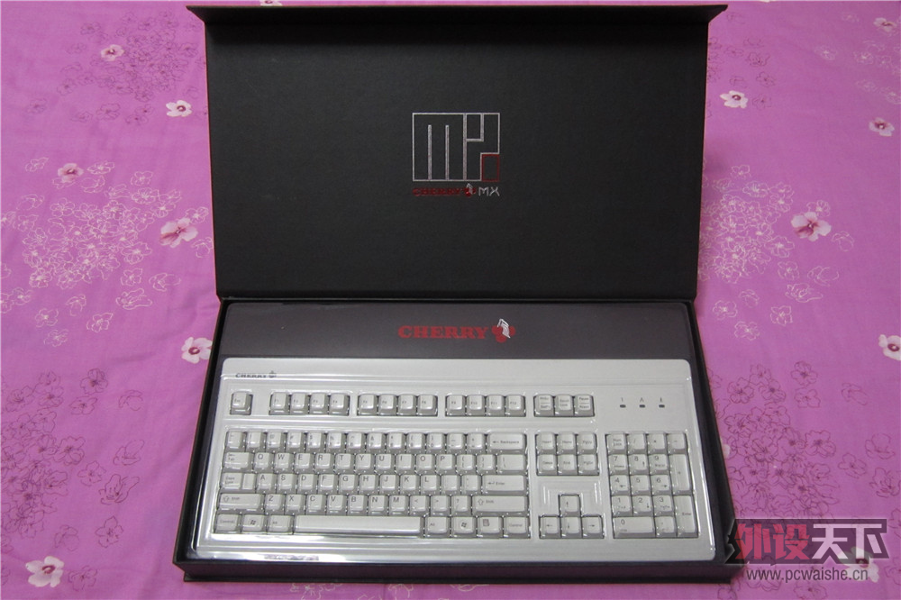 �����Ŀ����� CHERRY G80-3000 �ײ迪���� ��ͼ ɱè ����Ҫ��