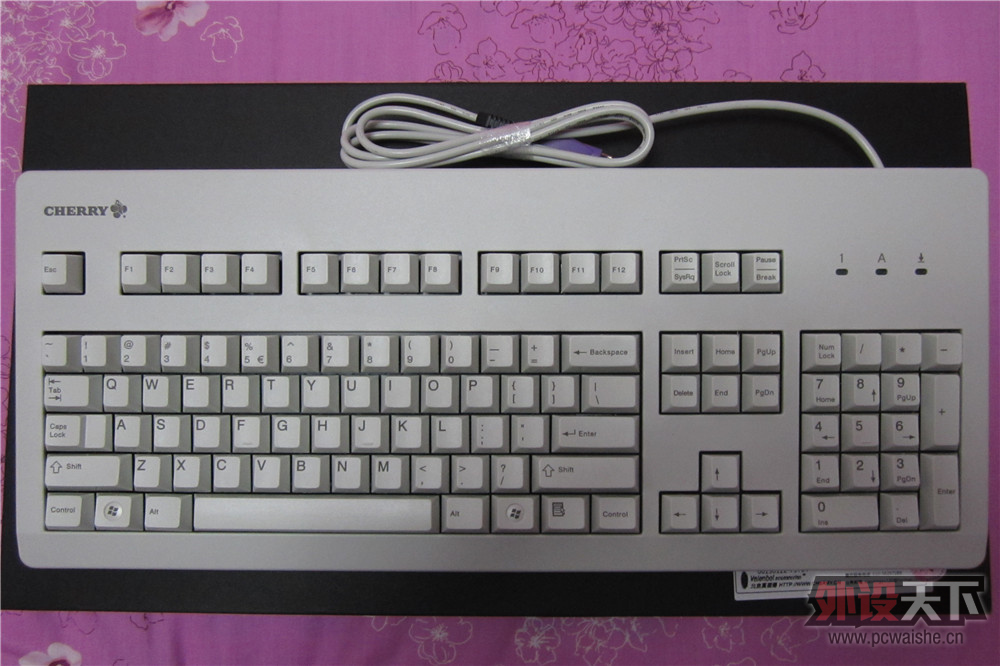 �����Ŀ����� CHERRY G80-3000 �ײ迪���� ��ͼ ɱè ����Ҫ��