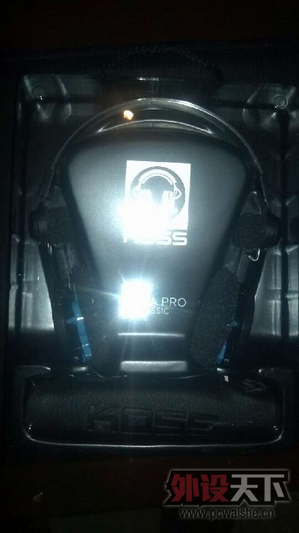 �����ֵ�PP