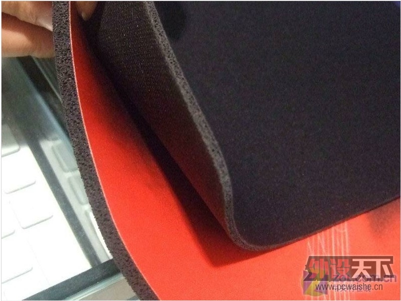 ��ESWC2008�й�������������棬˭�ǻ������ŵ��ӡ�