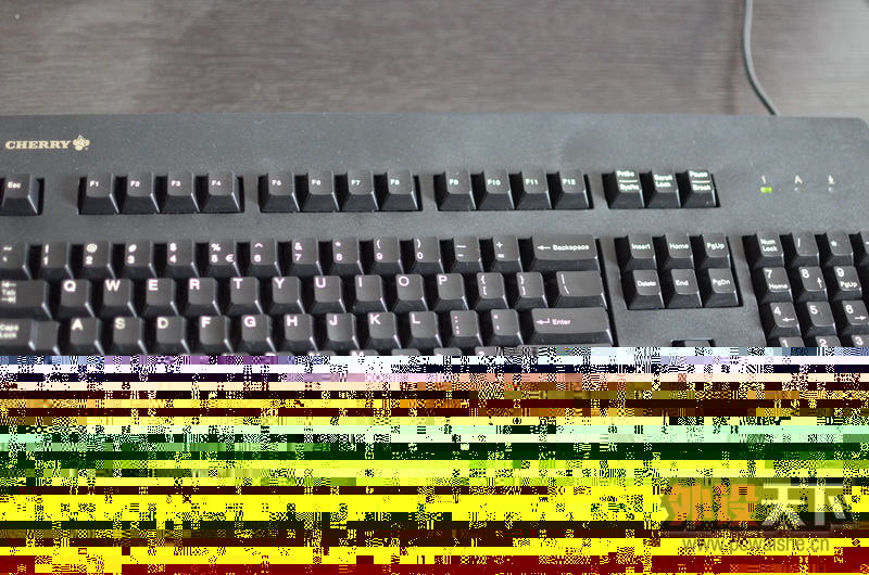 DSC_2283_resize_resize.JPG