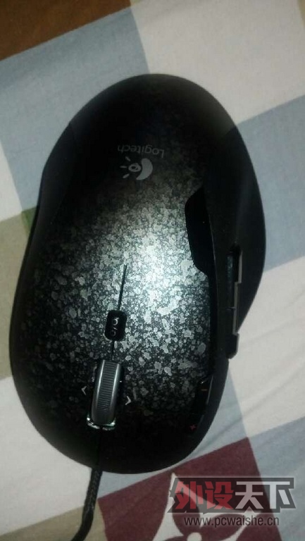 ʪ���.jpg