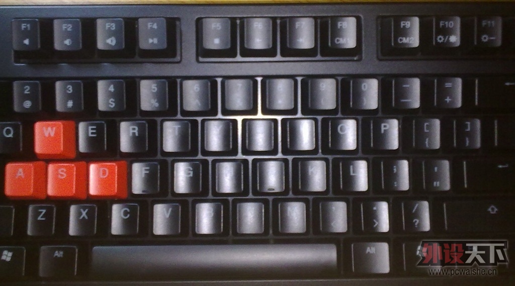 [�Ϸ�]DUCKY 9008 S2�Ϲ���� 750Ԫ(�ѳ�������)