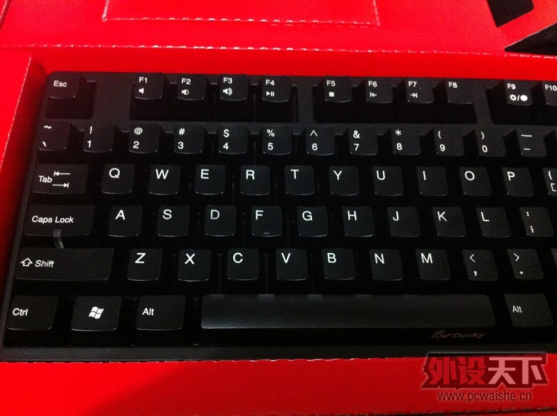[�Ͼ�] Ducky 9008 G2 Pro 9.5�� �ѳ�