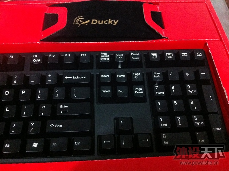 [�Ͼ�] Ducky 9008 G2 Pro 9.5�� �ѳ�