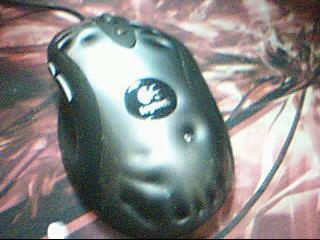 ͼƬ 014.jpg
