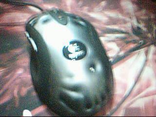 ͼƬ 007.jpg