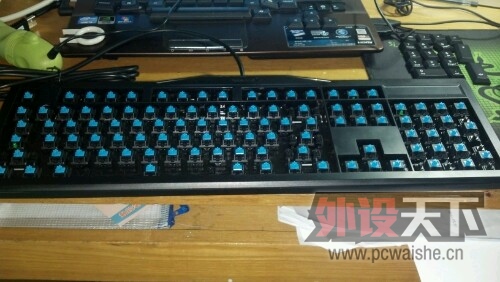 IMG20130327080621.jpg