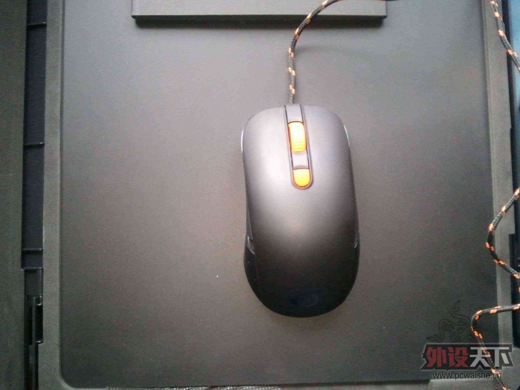WP_000043.jpg