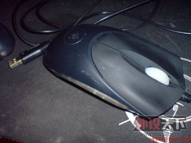 DSC00314.JPG