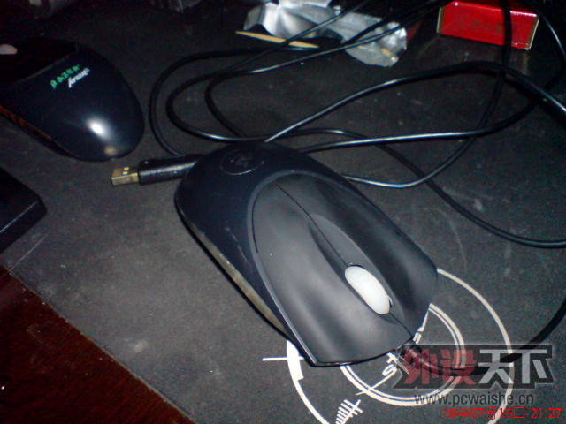 DSC00313.JPG