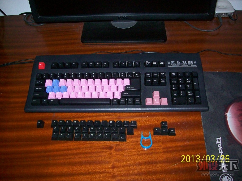 ɫµPLUM 104̣ײɫñ