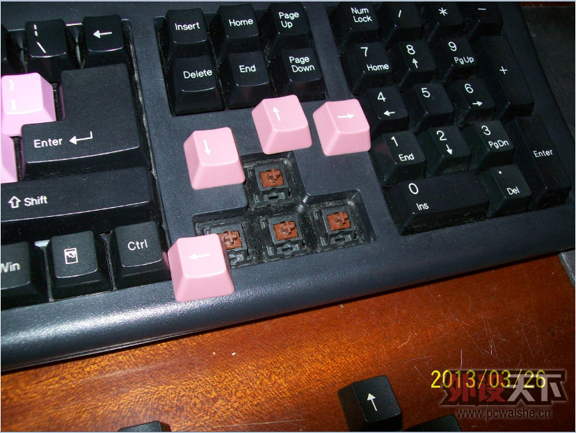 ɫµPLUM 104̣ײɫñ