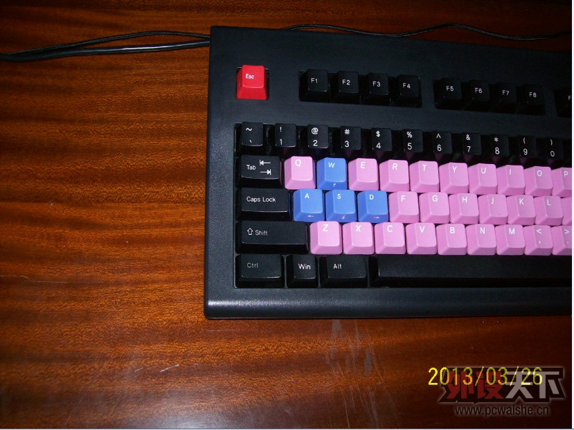 ɫµPLUM 104̣ײɫñ