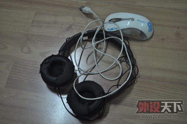 [11P] ��˿����ĳһ���������ǵ�봽��ۣ�ר��ֻ��ĵ���װ����