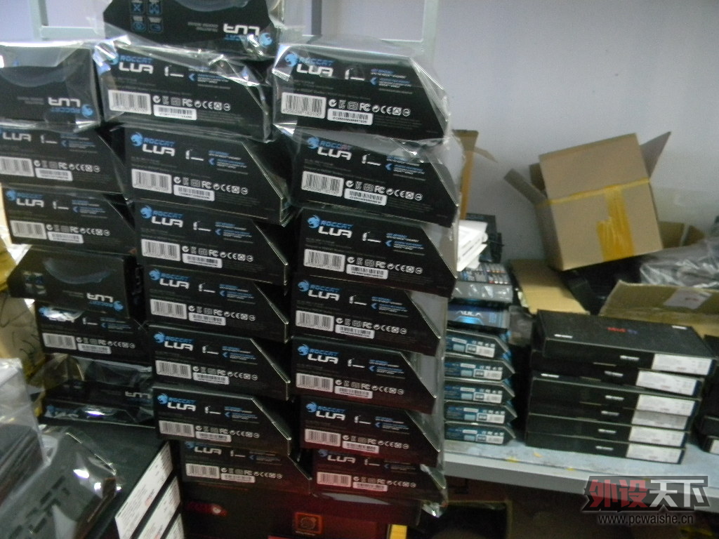 DSCN4489.JPG