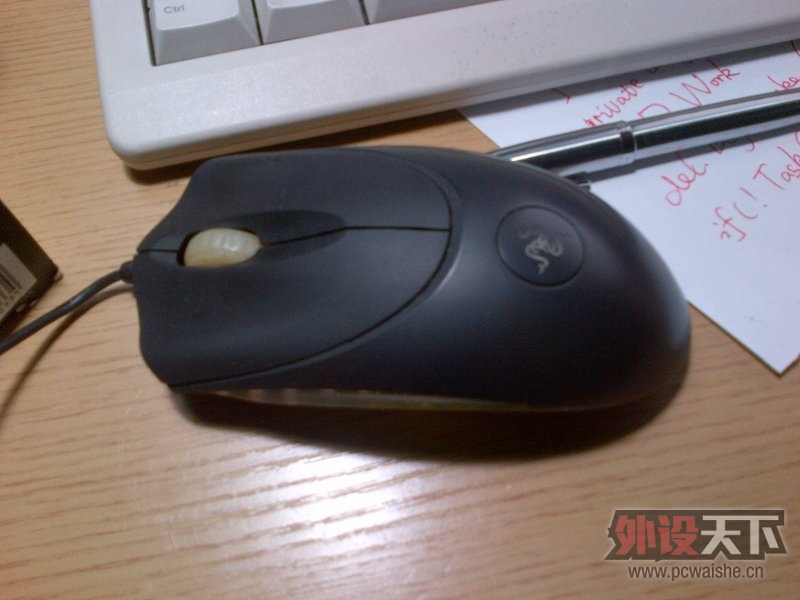 IMG-20130329-00066.jpg