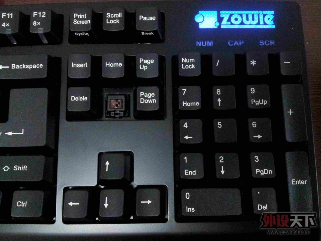 3ѡһfilco104zowie108