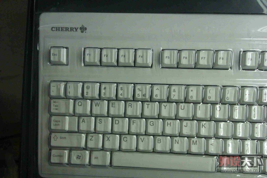 IMAG0979.jpg
