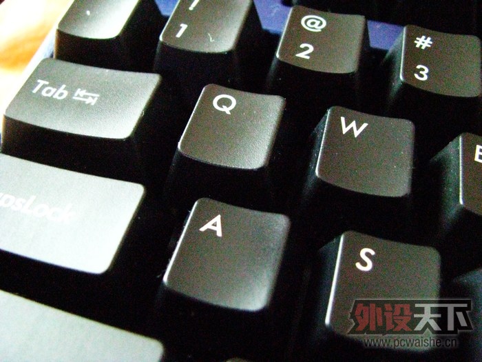 nEO_IMG_IMG_0161.jpg