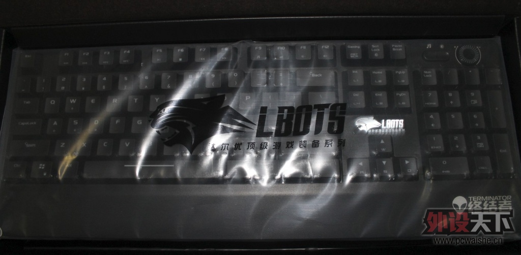 [����] �ս�һ��BOSS!������豪�ս��߼���