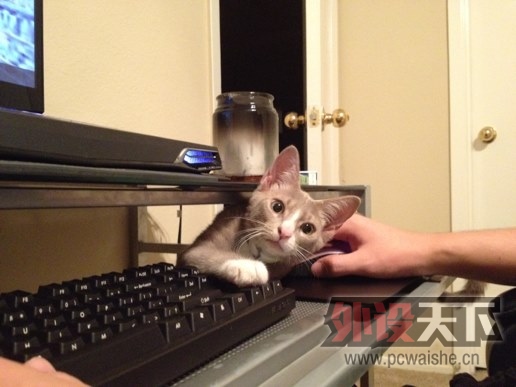 [19P] ��ѧ��ҵ�� �����´�ѧ�����������߹���װ��
