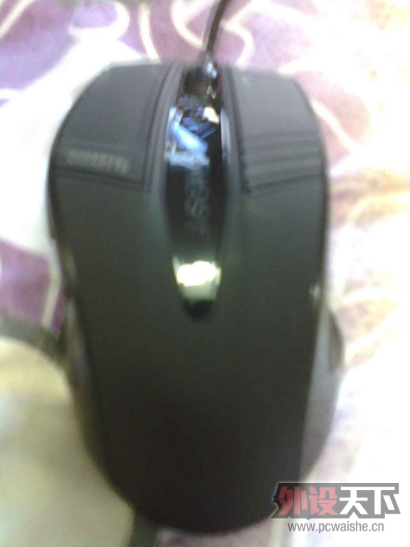 IMG_20130405_142855_0.jpg