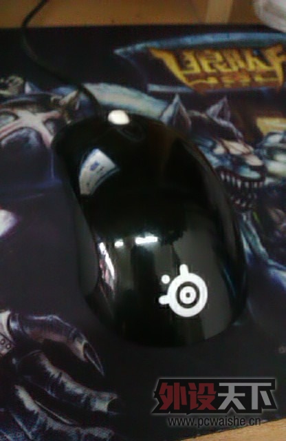 IMAG0116.jpg