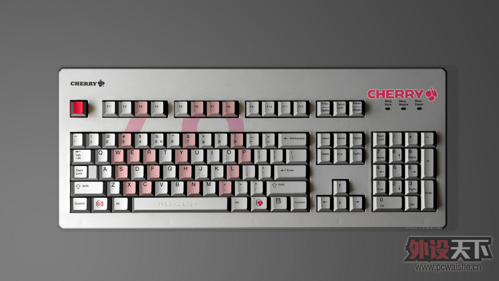#CHERRY60#ר
