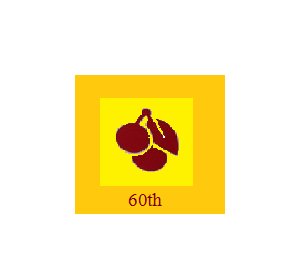 #CHERRY60����#�������ר��