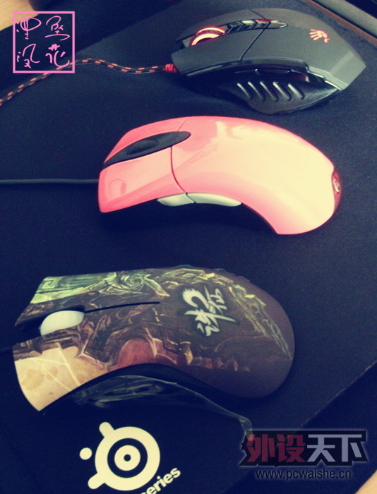 [8P] ��С�����ա� �������� ���ɰ�