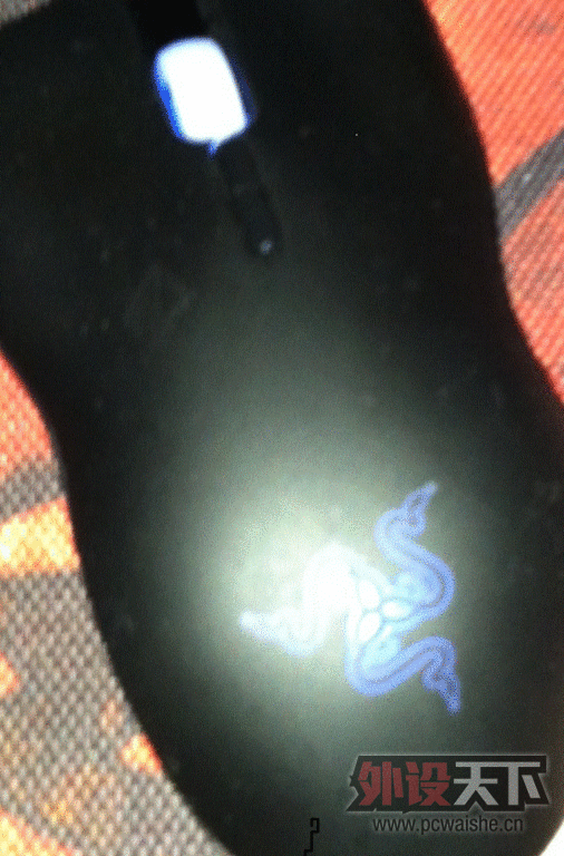 8767131 011.gif