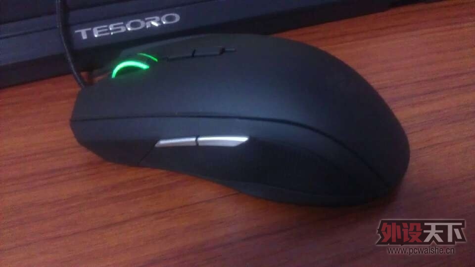 taipan1.jpg