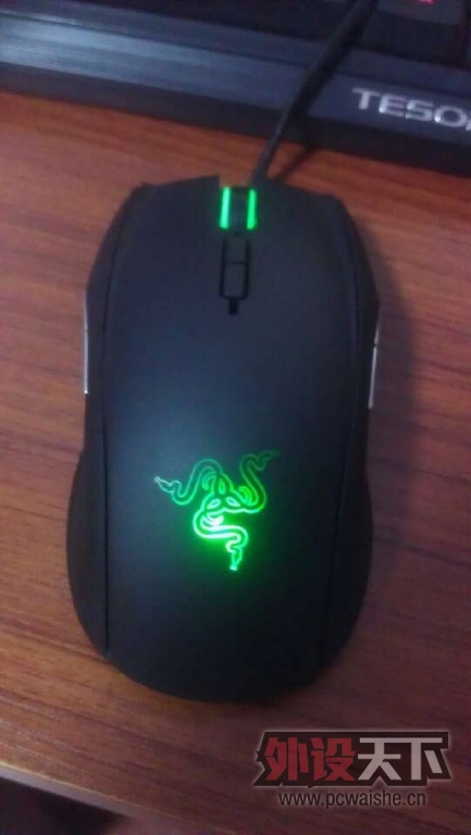 taipan2.jpg