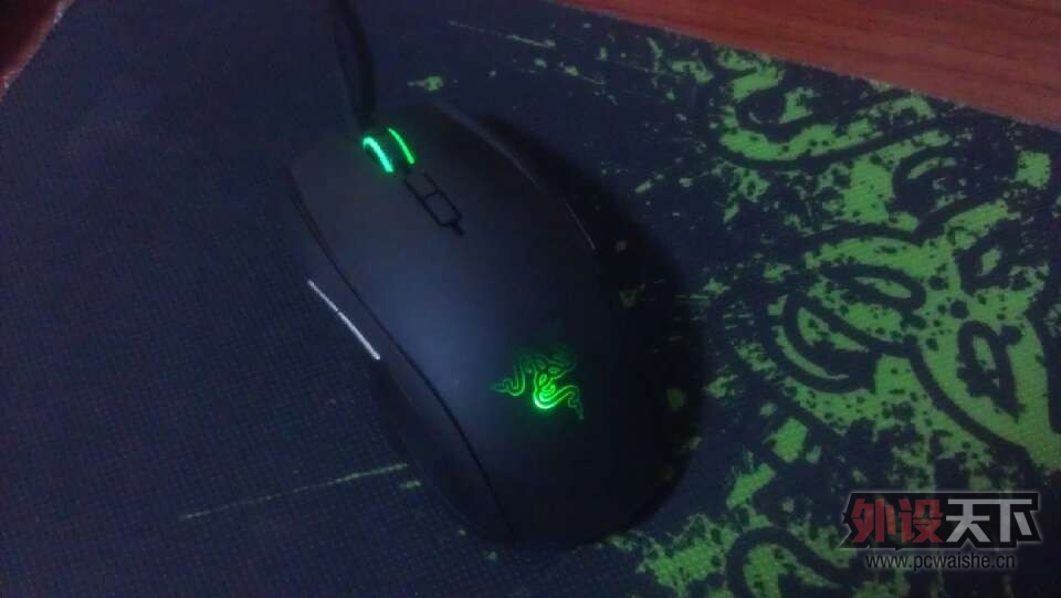 taipan3.jpg