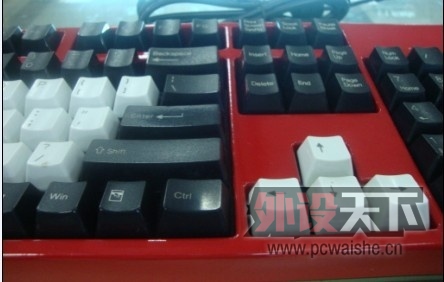 سNOPPOO104