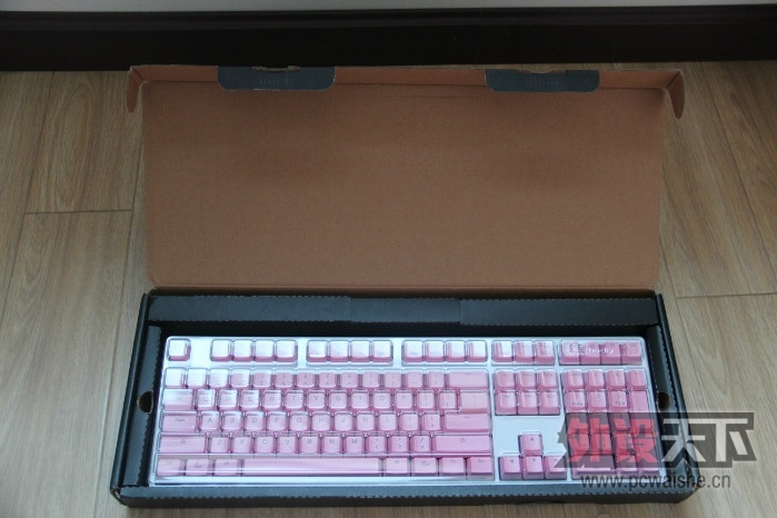˿ ducky ۰׿~~~