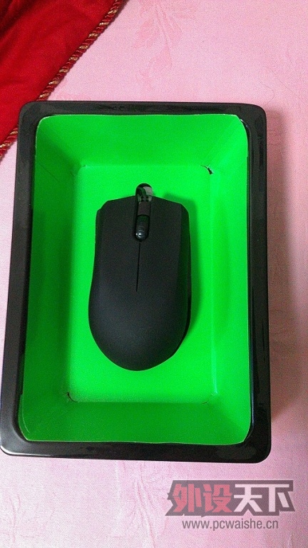 �ͻ�һֻ������