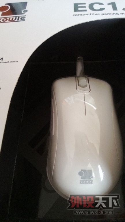 ���ɶ���ZOWIE EC1 EVO 9���� ��˳��