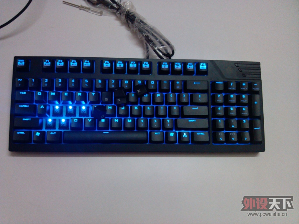 IMG_20130316_093248.jpg