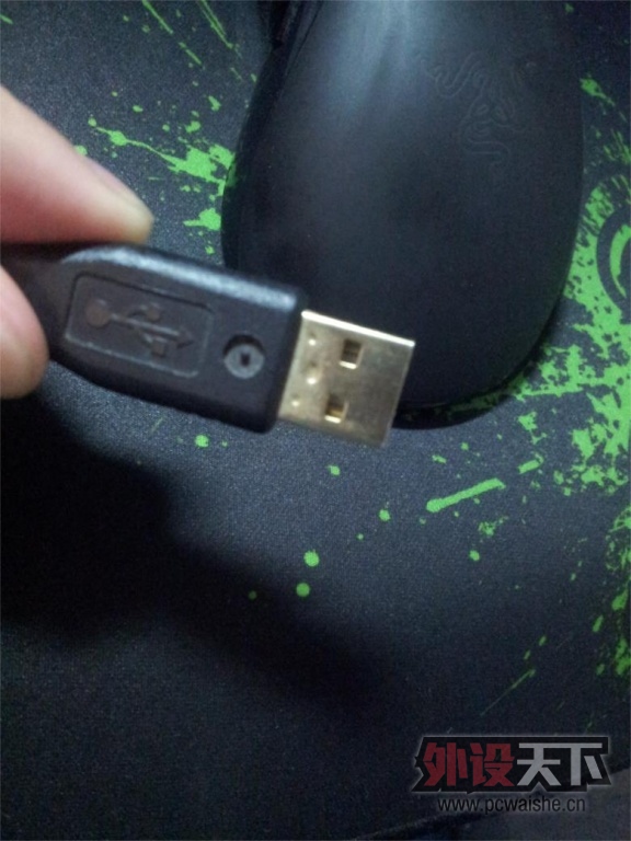 �����ճ��ݡ�������һֻ���ѳ���