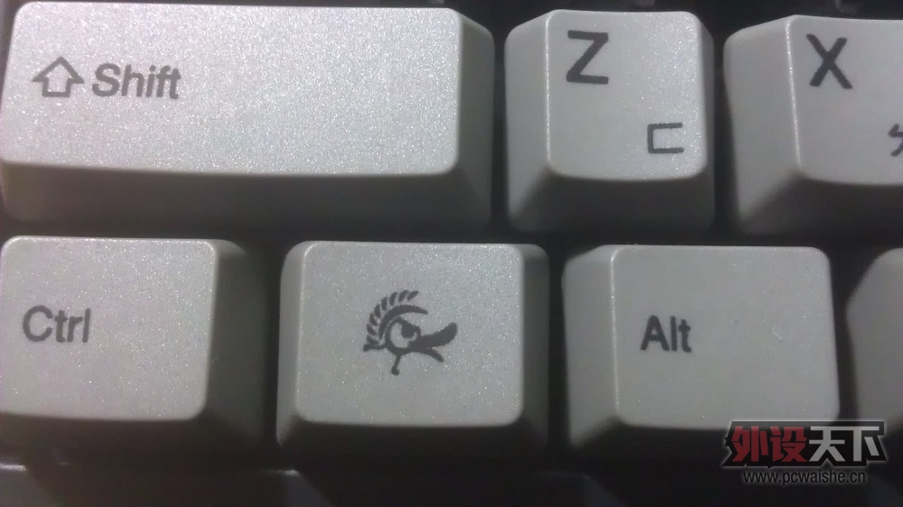 IMAG0537.jpg