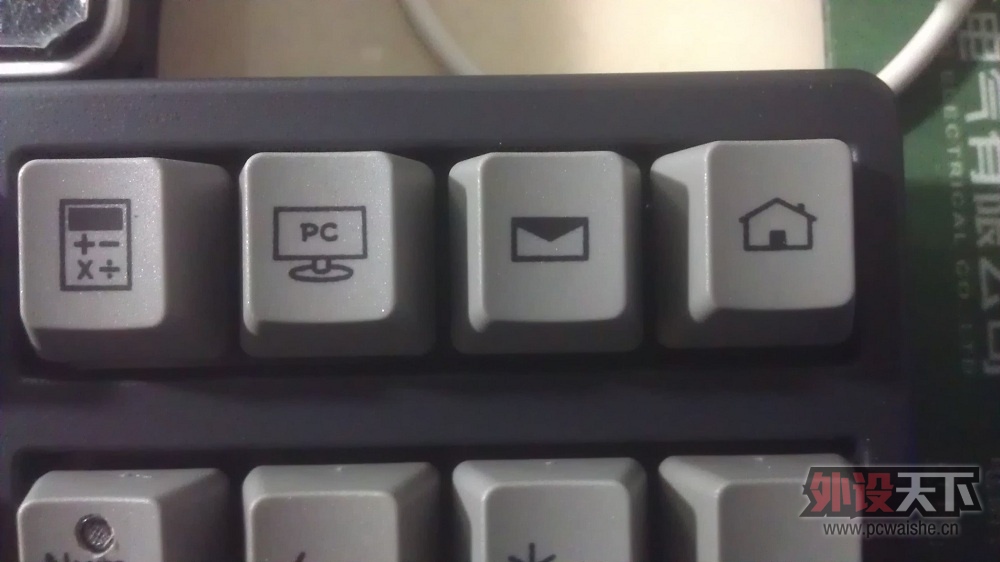 IMAG0542.jpg