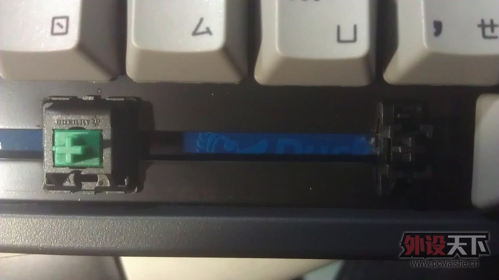 IMAG0545.jpg