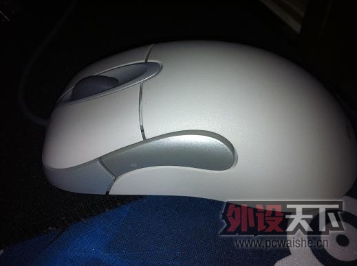 IMG_0035.jpg