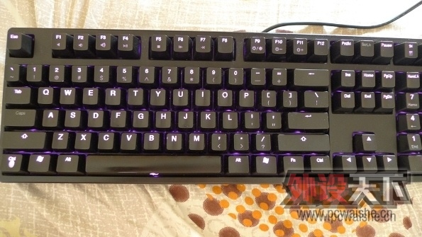 9008s.jpg